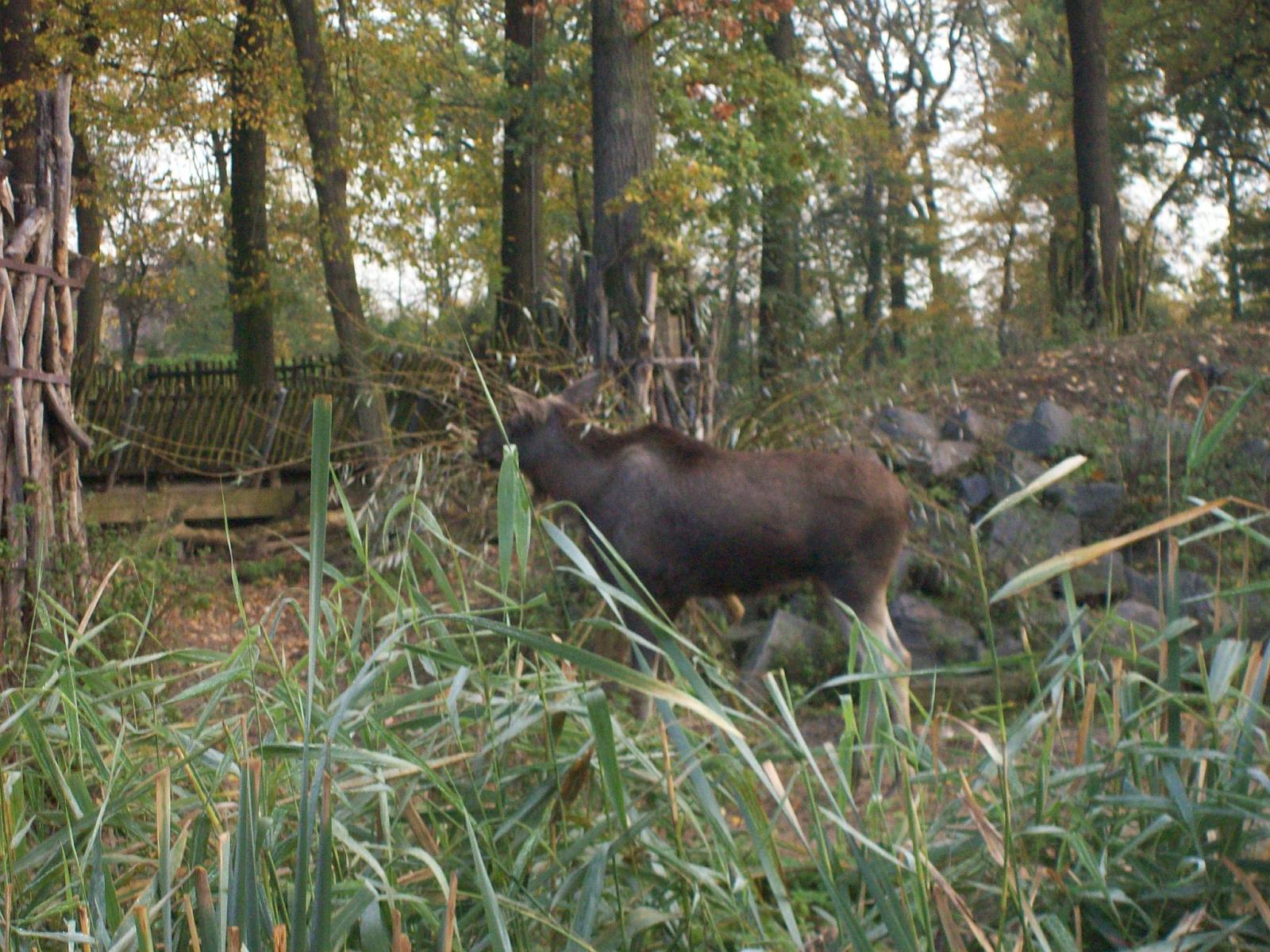 Zoom 18.10.2008-011.jpg